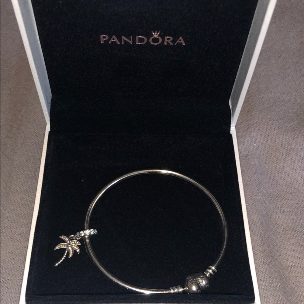 Pandora bracelet and 🌴palm tree charm🌴